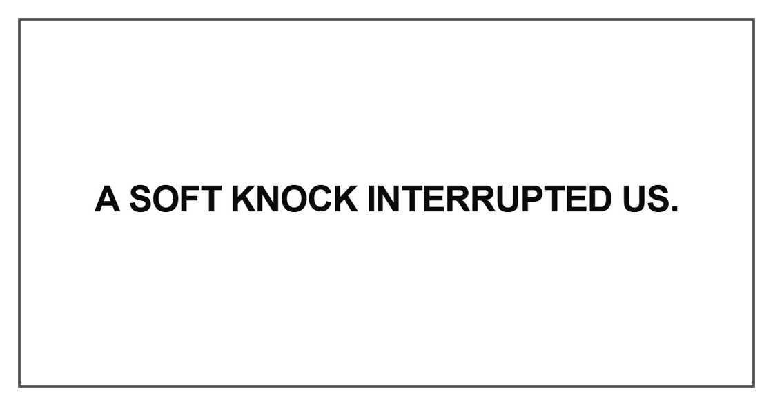 A soft knock interrupted us A soft knock interrupted us
