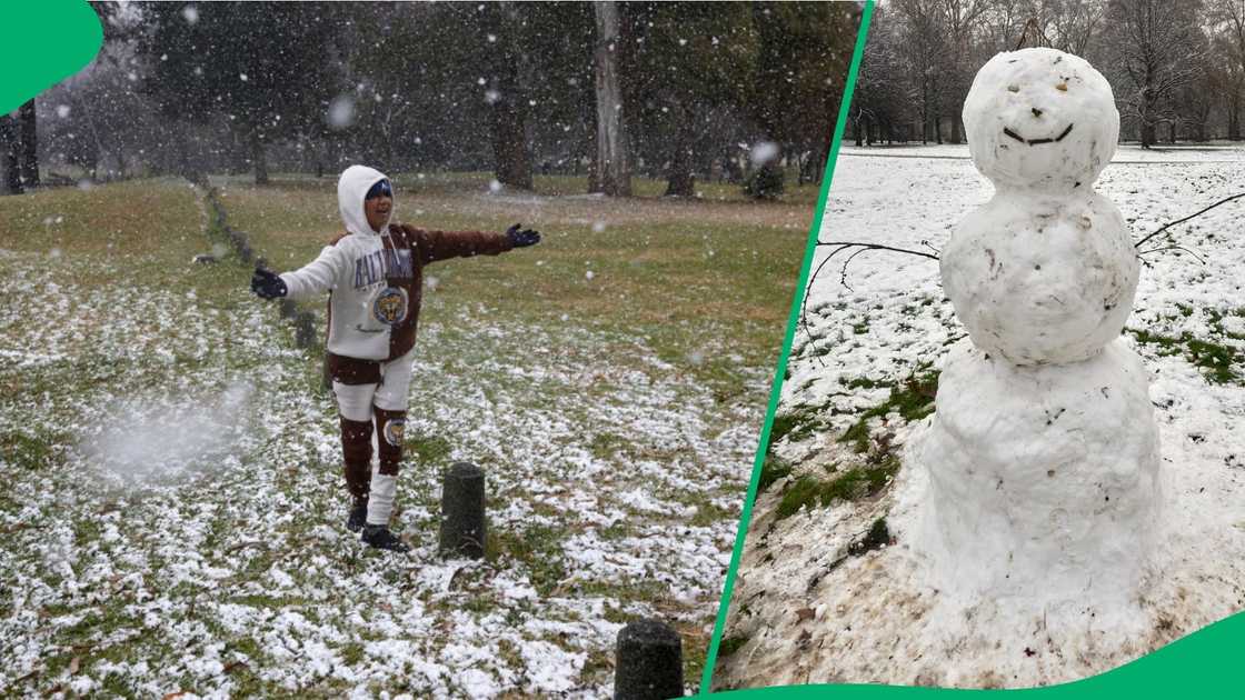 SA peeps make funny snowmen