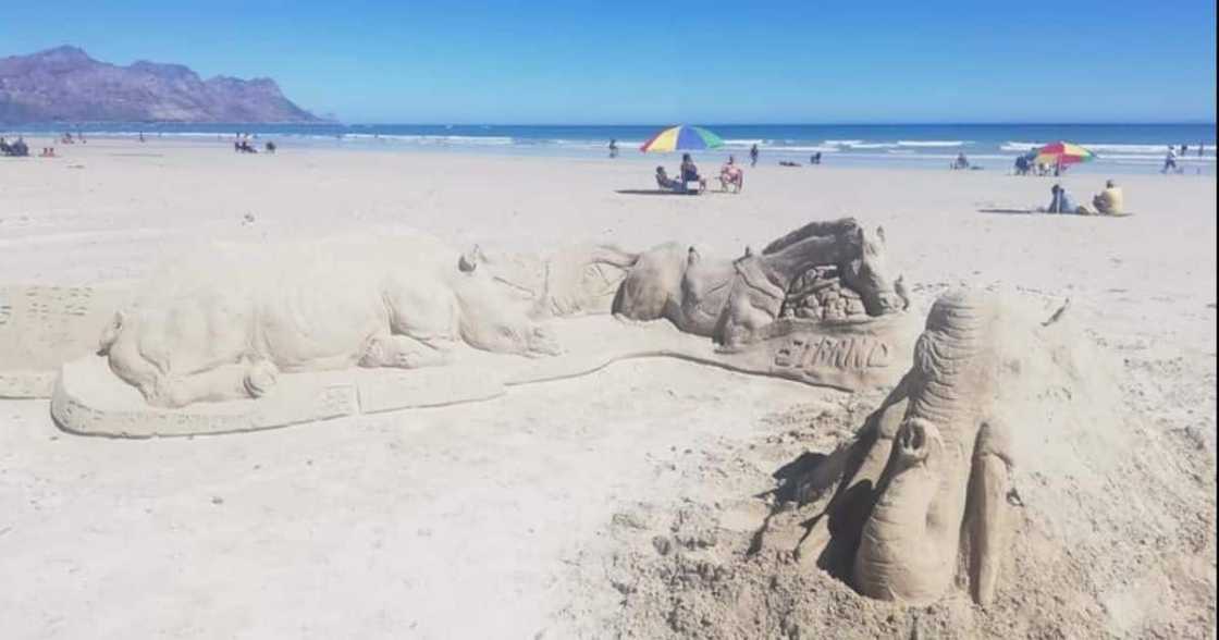 South African art lovers show great appreciation of work by a Cape Town artist using beach sand. Image: Facebook South African art lovers show great appreciation of work by a Cape Town artist using beach sand. Image: Facebook