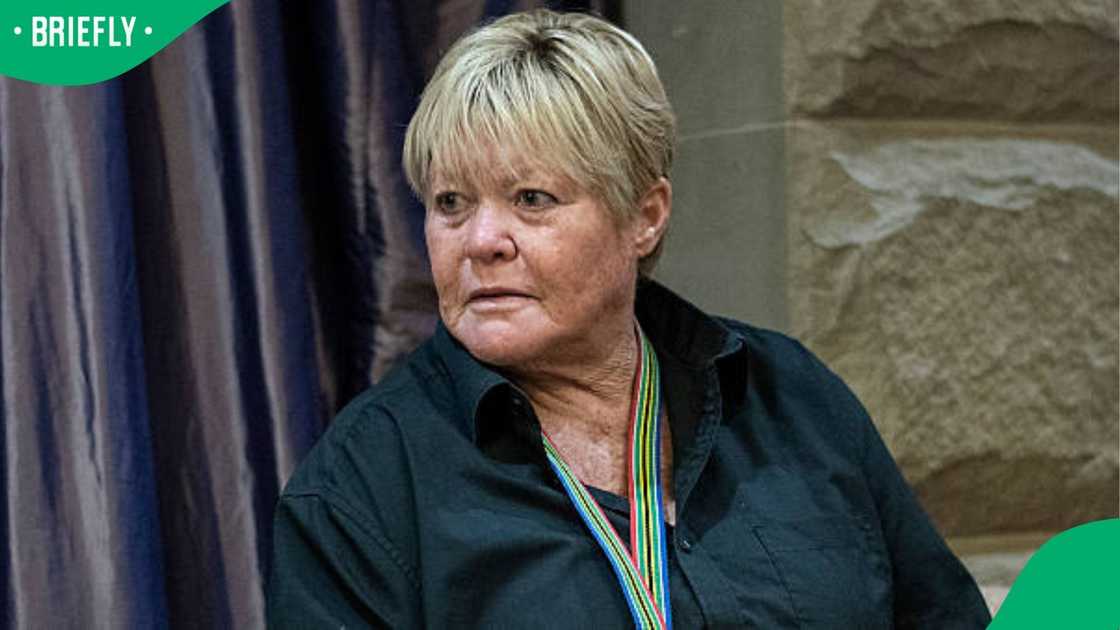 Glynnis Breytenbach weighed in on Advocate Andy Mothibi's appointment