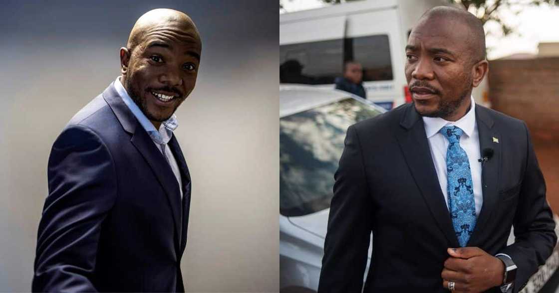 Matric results 2021: Maimane calls for new leadership in education Matric results 2021: Maimane calls for new leadership in education