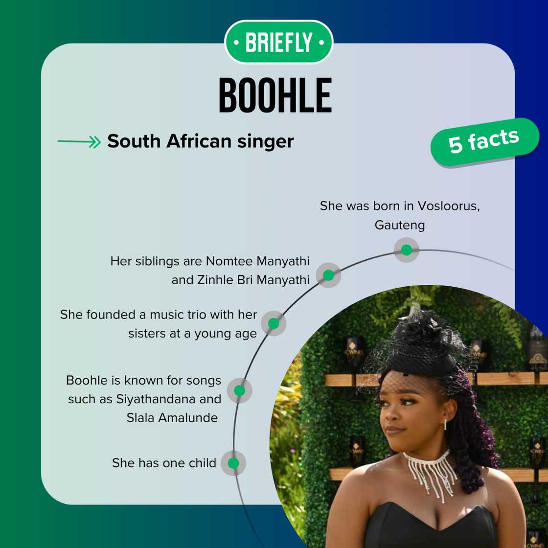 Top 5 facts about Boohle Top 5 facts about Boohle