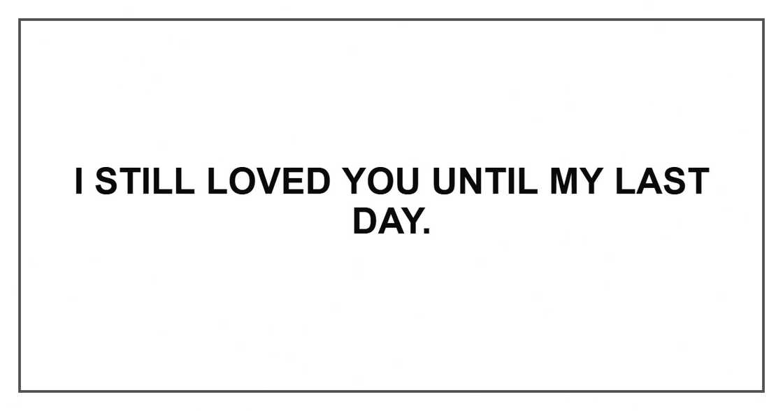 I still loved you until my last day.