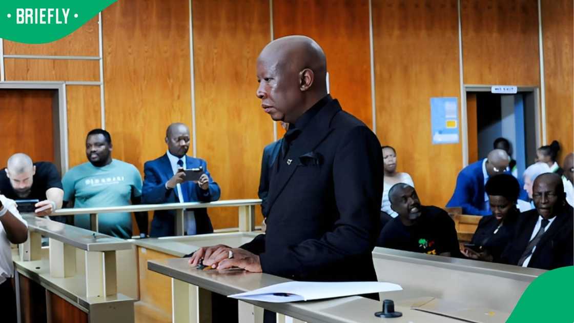 Julius Malema appeared for pre-sentencing in the firearms discharge case at East London Regional Court