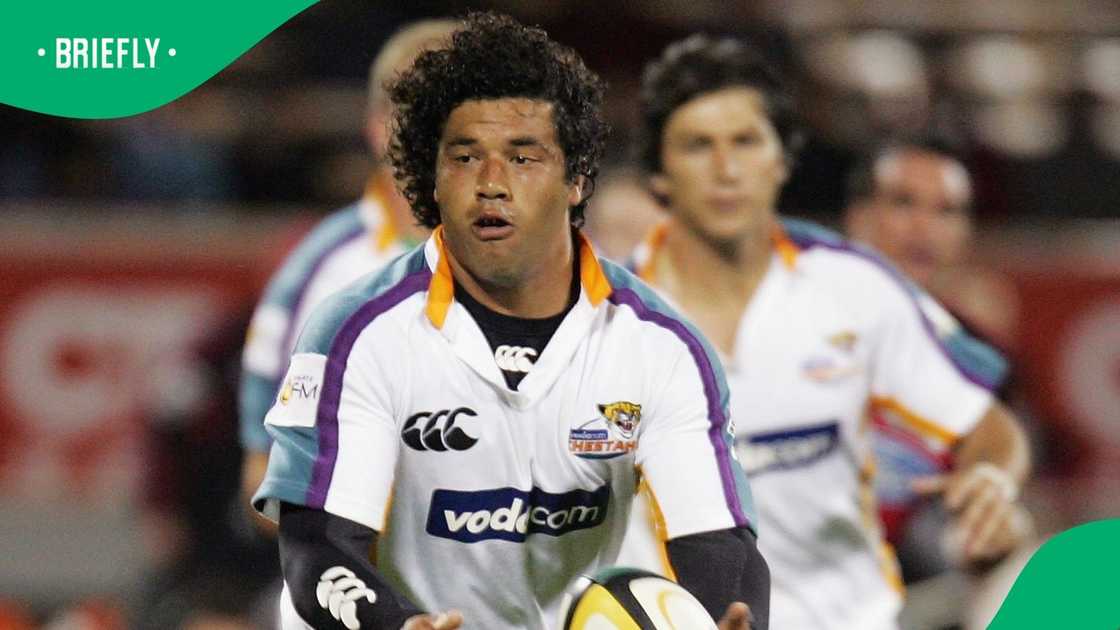 Springboks, Bevin Fortuin, Cheetahs
