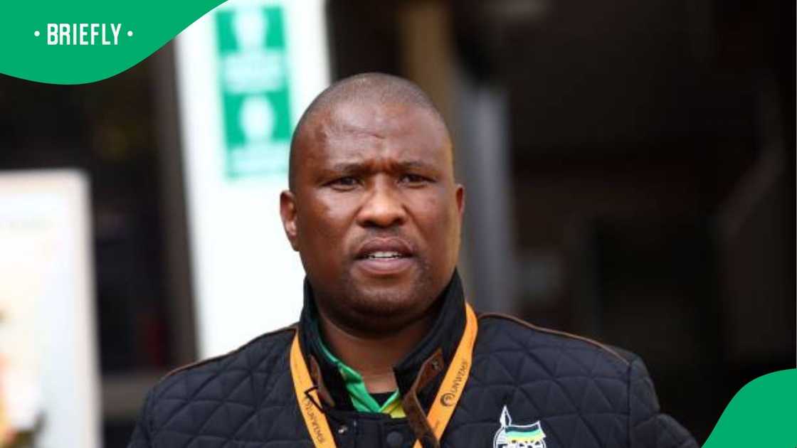 Eastern Cape Premier Oscar Mabuyane