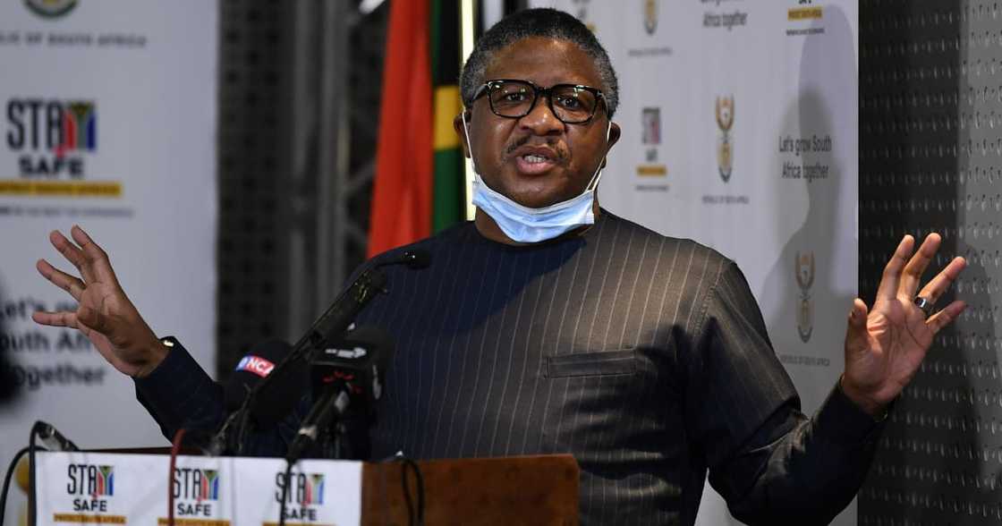 Politicians, Zandile Christmas Mafe, arrest, Parliament fire, Transport Minister Fikile Mbalula, questions