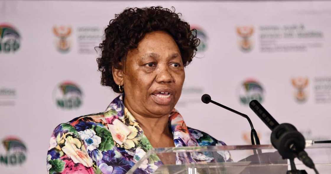 coronavirus coronavirus