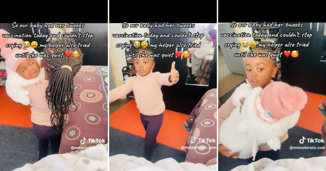 TikTok user @dibuseng6 shared a video showing little Miss stepping in to comfort her baby sister