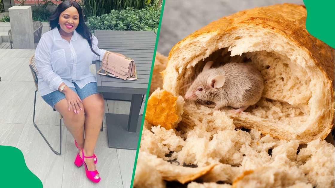 A woman found a rat stuck in her slices of bread. A woman found a rat stuck in her slices of bread.