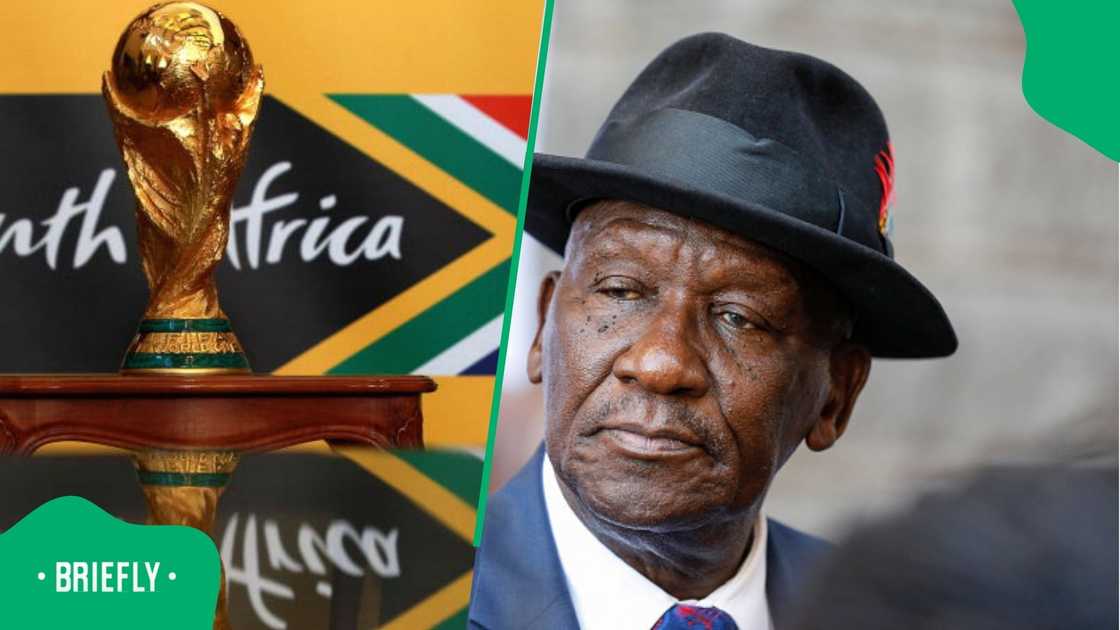 Bheki Cele, FIFA World Cup, South Africa, TRC
