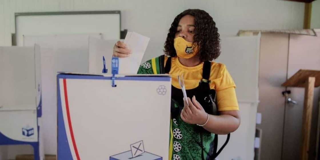 ANC, IEC, local government elections, election results ANC, IEC, local government elections, election results