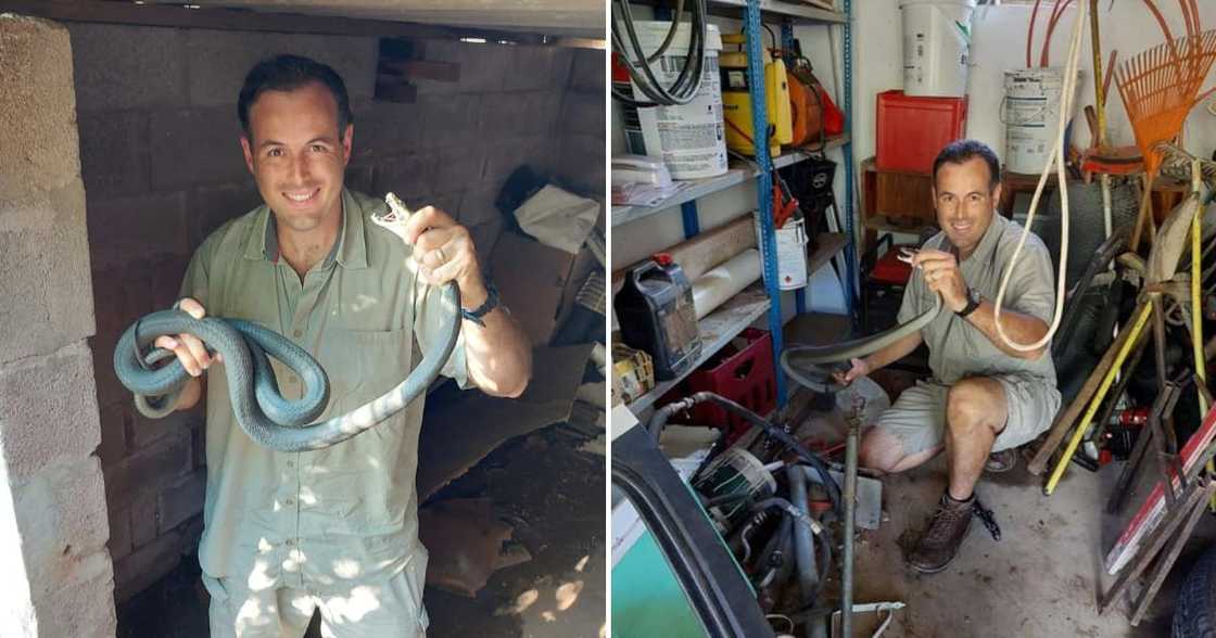 Snake catcher, Nick Evans, black mamba, Pinetown, floods, three Snake catcher, Nick Evans, black mamba, Pinetown, floods, three