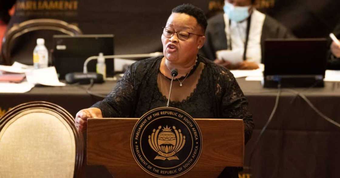 National Council of Provinces Deputy Chairperson Sylvia Lucas National Council of Provinces Deputy Chairperson Sylvia Lucas