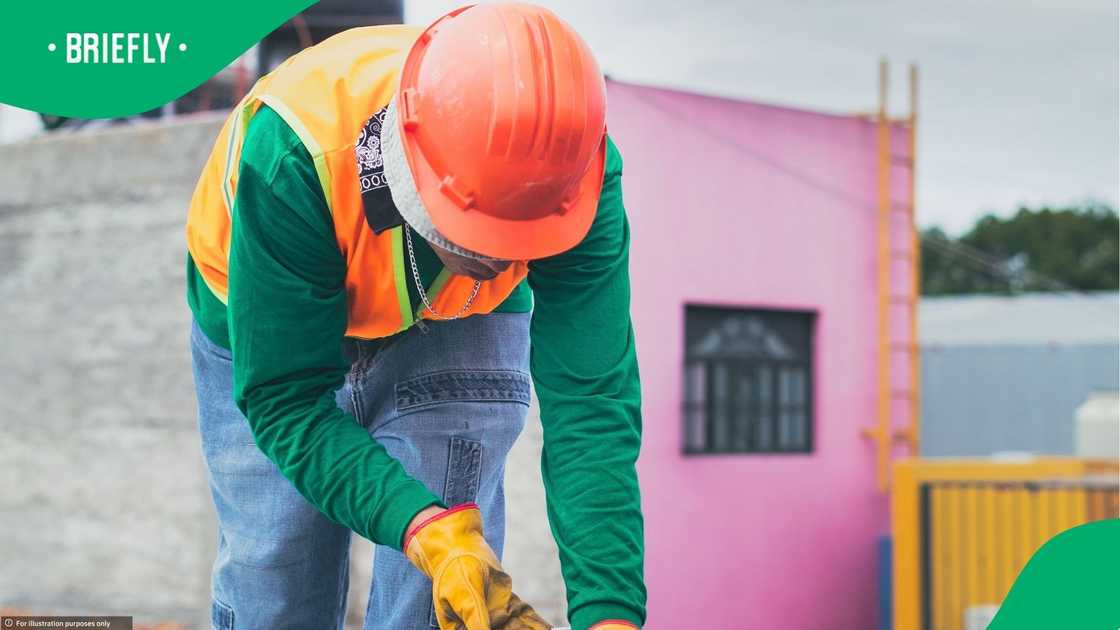 Northern Cape workers in the renewable energy sector were trained in handling snakes Northern Cape workers in the renewable energy sector were trained in handling snakes