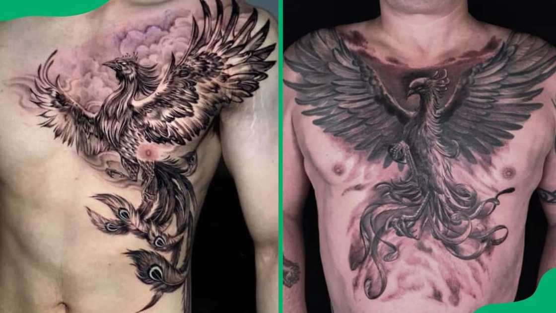 Phoenix chest tattoos Phoenix chest tattoos