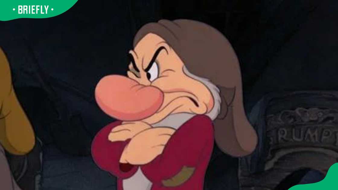 Grumpy from Snow White and the Seven Dwarfs.