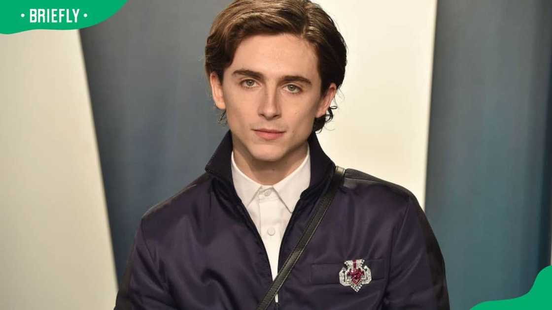Pauline Chalamet’s profiles Pauline Chalamet’s profiles