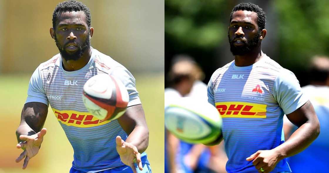 Western Province couldn't keep Kolisi, Springbok captain moves to KZN Western Province couldn't keep Kolisi, Springbok captain moves to KZN