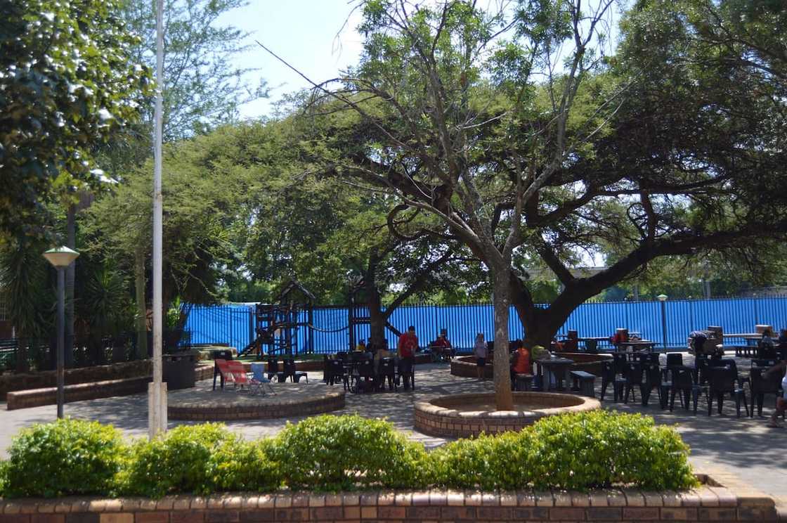 remedial schools in gauteng remedial schools in gauteng