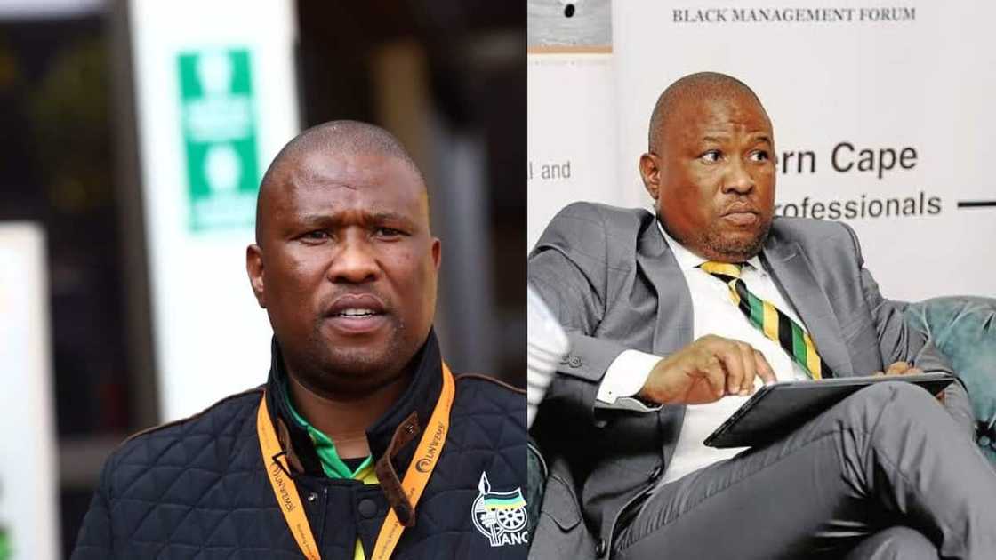 Eastern Cape Premier Eastern Cape Premier