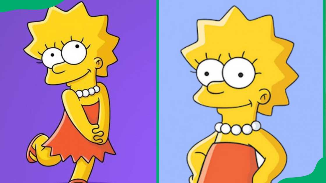 Lisa Simpson The Simpsons.