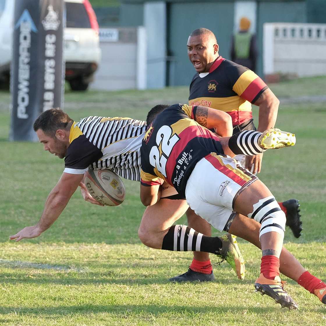 Four South African met while playing rugby in L.A Four South African met while playing rugby in L.A