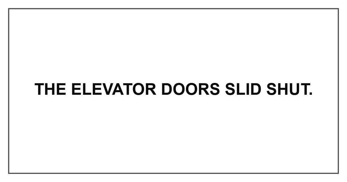 The elevator doors slid shut.