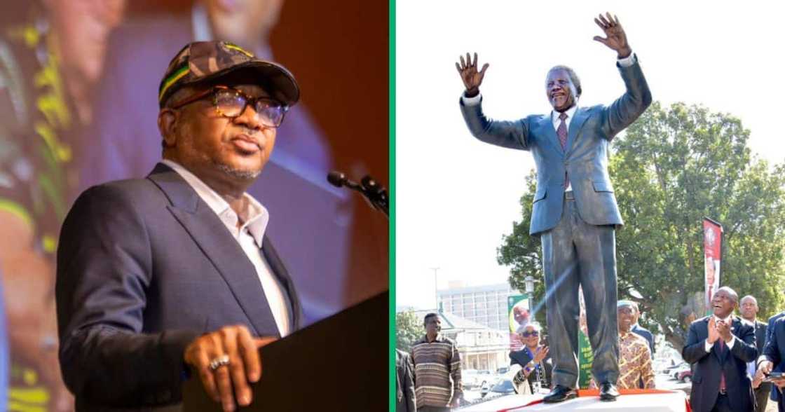 Fikile Mbalula has taken aim at municipalities for prioritising statues of Nelson Mandela over service delivery Fikile Mbalula has taken aim at municipalities for prioritising statues of Nelson Mandela over service delivery