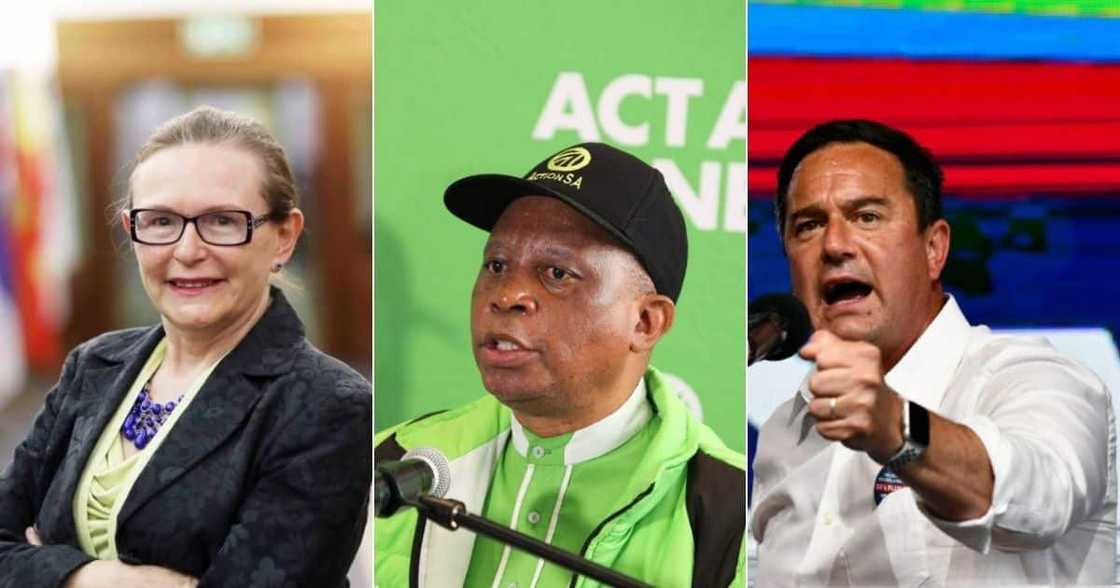 Helen Zille, Herman Mashaba, John Steenhuisen, ActionSA, DA Helen Zille, Herman Mashaba, John Steenhuisen, ActionSA, DA