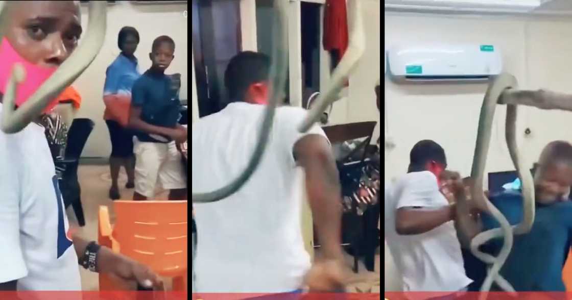 Prank, snake, scared, crying man, classroom, kids Prank, snake, scared, crying man, classroom, kids