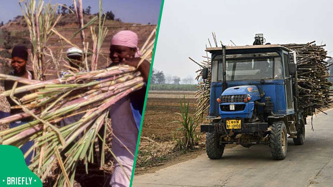 Huletts sugar shutdown