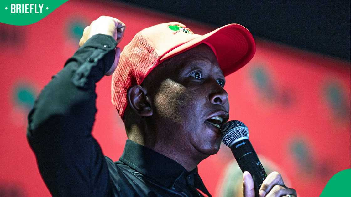 Julius Malema has been granted leave to appeal