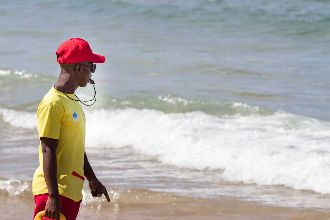 Lifeguards have joined in the search for a missing boy at a beach in the Eastern Cape