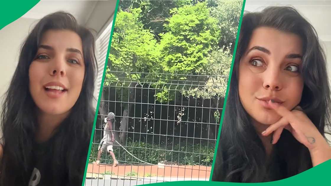 TikTok users could not contain their laughter after seeing a video of a lady pulling a funny in Cape Town TikTok users could not contain their laughter after seeing a video of a lady pulling a funny in Cape Town