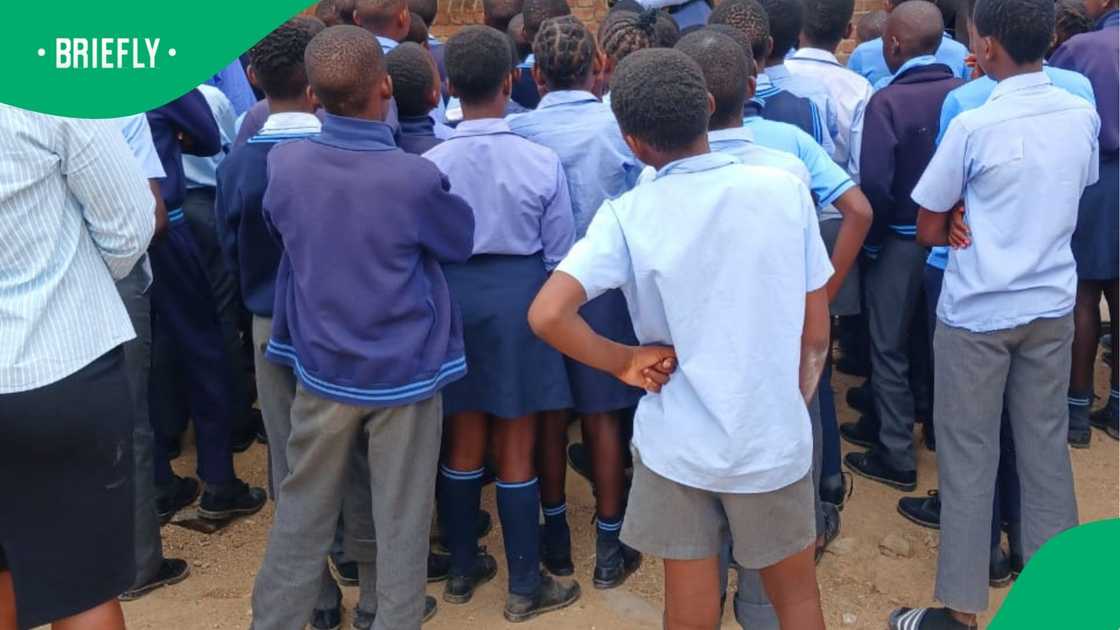 COSAS calls for action against bullying