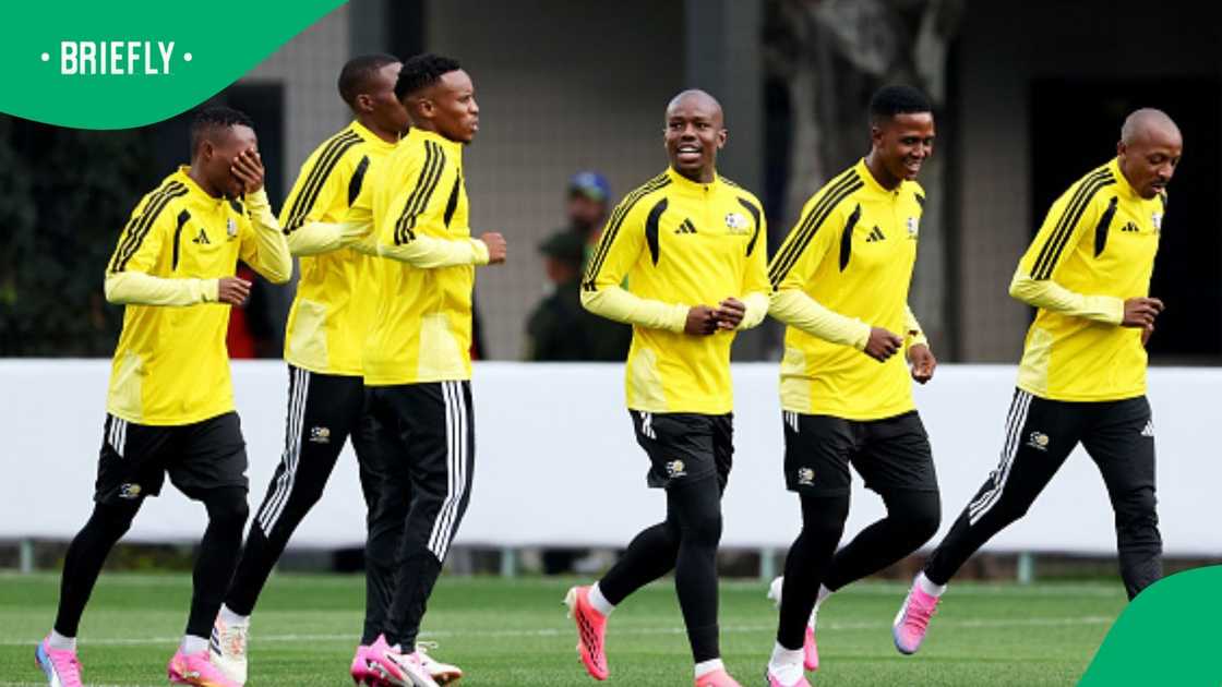 Bafana Bafana, South Africa, FIFA World Cup