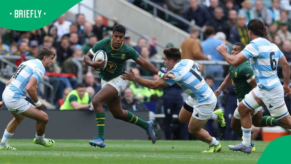 Springboks, South Africa,Rugby Championship,Los Pumas Springboks, South Africa,Rugby Championship,Los Pumas