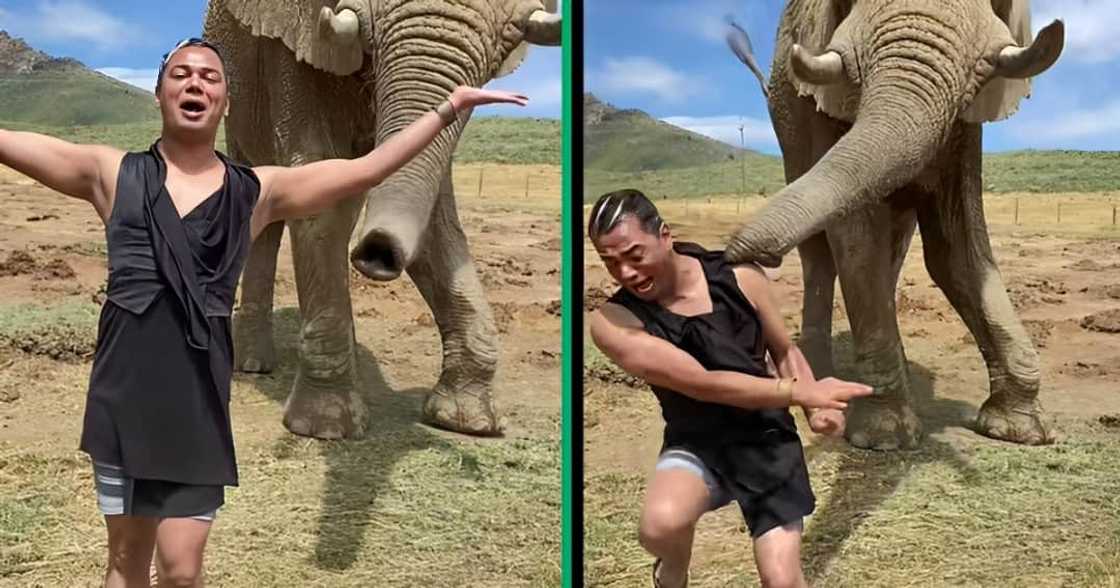 A TikTok video of a man running away from an elephant. A TikTok video of a man running away from an elephant.