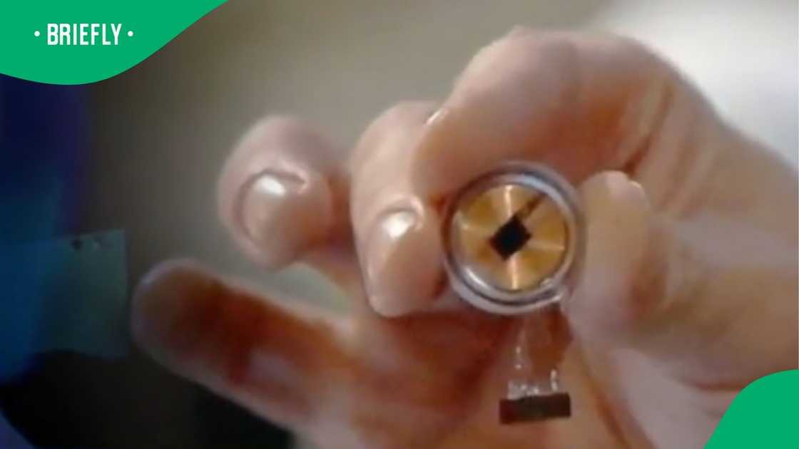 The photograph captured a clear, close-up look at the miniature hardware scale of an implantable brain device The photograph captured a clear, close-up look at the miniature hardware scale of an implantable brain device