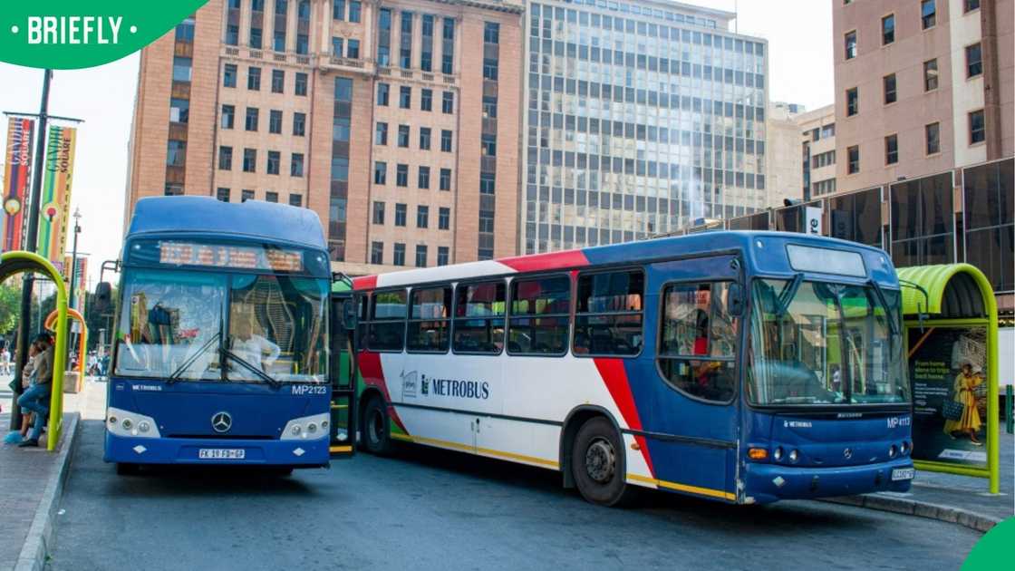 Metro Bus