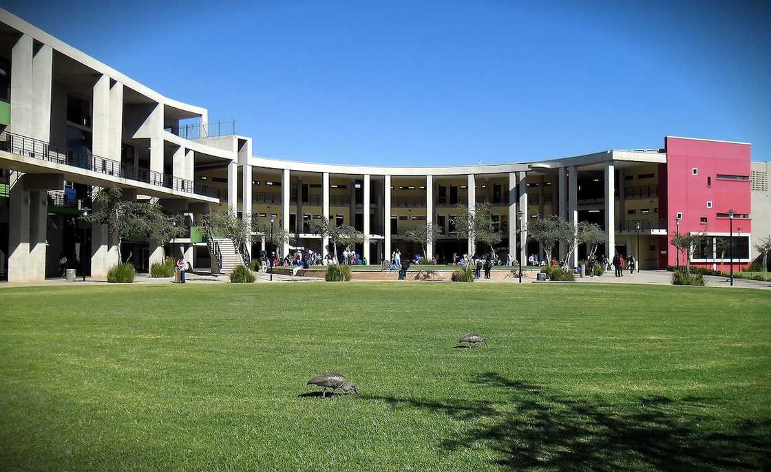 art schools Johannesburg art schools Johannesburg
