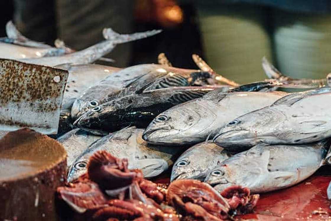 yellowfin tuna price yellowfin tuna price
