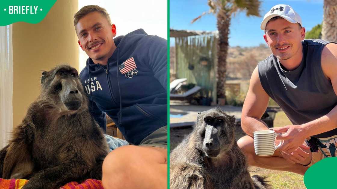 Cindy the Baboon and Reuben Lambrechts.