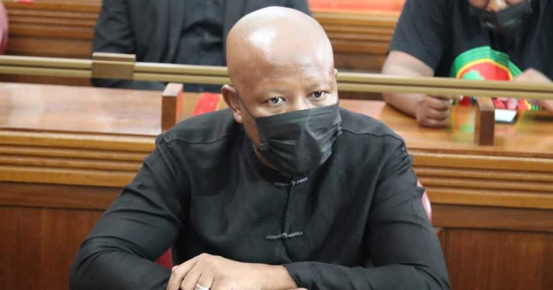 Economic Freedom Fighter, EFF, Julius Malema, Mark Oppenheimer, AfriForum, Lawyer, Hate speech, Cross examination, South Gauteng High Court, Johannesburg, Legal representative, Civil rights organisation, Dubul'ibhunu