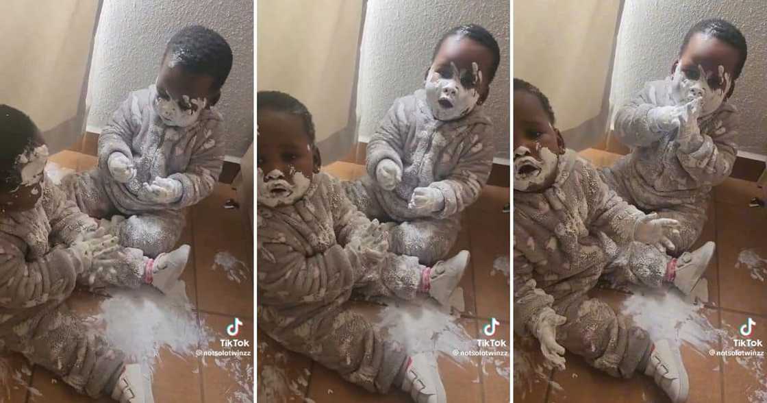 Twin toddlers were caught red-handed playing with paint Twin toddlers were caught red-handed playing with paint