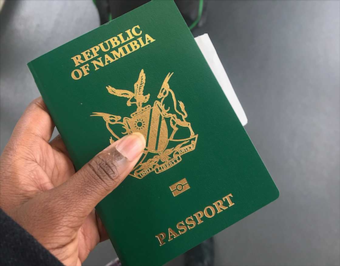 Here are the 7 most powerful passports in Africa right now