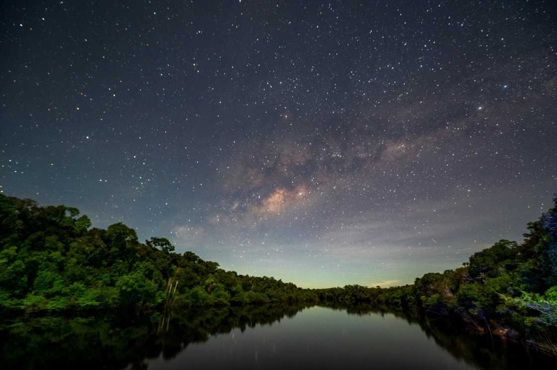 Recent research shows the Amazon rainforest, a key buffer against global warming, is in fragile health -- a major issue in Brazil and beyond as the South American country elects its next president Recent research shows the Amazon rainforest, a key buffer against global warming, is in fragile health -- a major issue in Brazil and beyond as the South American country elects its next president