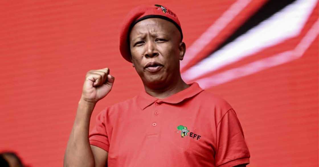 EFF leader Julius Malema said his willing to partner with other political parties EFF leader Julius Malema said his willing to partner with other political parties