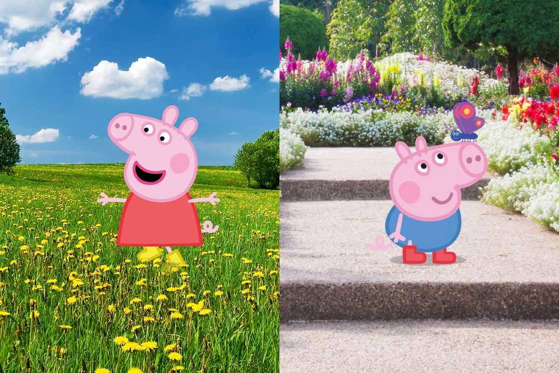 Peppa Pig in a garden Peppa Pig in a garden